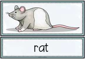 Vista previa - Tarjetas / Manipulativos - PETS - Picture + Word Cards - página 2