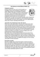 Vorschau - Arbeitsblätter - Tag der Biene: Tipps zum Schutz, Rezepte, Ausmalbild - Seite 3