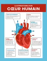 Aperçu - Préparation de séance / Séance complète - Coeur humain +8 fiches d'activités - Page de couverture