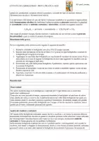 anteprima - Programmi scolastici / Materiali per docenti - Relazione di laboratorio sulla fermentazione - A028 - Pagina 3