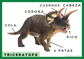 Vista previa - Tarjetas / Manipulativos - Partes de un dinosaurio: triceratops y tiranosaurio rex. - página 1