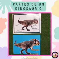 Vista previa - Tarjetas / Manipulativos - Partes de un dinosaurio: triceratops y tiranosaurio rex. - Portada