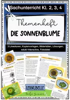 Vorschau - Unterrichtsreihen - Materialpaket "Sonnenblumen nach van Gogh im Kunst- und Sachunterricht" - Seite 1