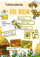 Vorschau - Unterrichtsreihen - Die Biene Sachtext, Warum sind Bienen wichtig? 4. Klasse, 5. Klasse, 6. Klasse Leseverständnis - Seite 1
