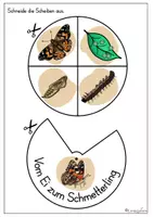 Vorschau - Mal- und Bastelvorlagen - Drehscheibe: Lebenszyklus Schmetterling - Seite 2