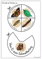 Vorschau - Mal- und Bastelvorlagen - Drehscheibe: Lebenszyklus Schmetterling - Seite 3