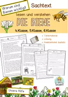 Vorschau - Unterrichtsreihen - Die Biene Sachtext, Warum sind Bienen wichtig? 4. Klasse, 5. Klasse, 6. Klasse Leseverständnis - Deckblatt
