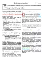 Vorschau - Arbeitsblätter - Die Struktur von Fettsäuren - Seite 1