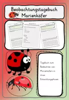 Vorschau - Stundenentwürfe - Beobachtungstagebuch Marienkäfer - Deckblatt