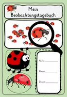 Vorschau - Stundenentwürfe - Beobachtungstagebuch Marienkäfer - Seite 1