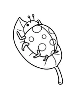 Aperçu - Préparation de séance / Séance complète - Coccinelles - Livre de coloriages +55 fiches d'activités - Page 2