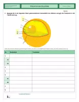 Vorschau - Arbeitsblätter - Zellen - Struktur des Zellkerns - Seite 1