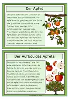 Vorschau - Text - Differenzierte Wissenskarten - Apfel - Seite 2
