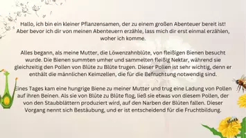 Vorschau - Arbeitsblätter - Wachsendes Material Paket Biologie in der Sek1 - Seite 2