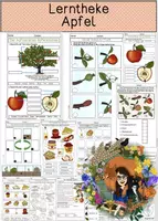 Vorschau - Arbeitsblätter - Apfel - differenzierte Arbeitsblätter/ Lerntheke + Lösung - Deckblatt