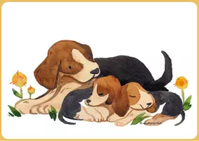 Vista previa - Hojas de trabajo - Láminas multiusos de los animales - página 2