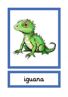 Vorschau - Bildkarten - picture cards animals A4 & A5 (pets, farm animals, local animals, wild animals) - Seite 3