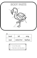 Vorschau - Arbeitsblätter - Zoo Animals A-Z - Flamingo Lapbook - Seite 2