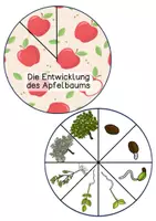 Vorschau - Mal- und Bastelvorlagen - Drehscheibe - Apfel - Seite 1