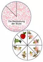 Vorschau - Mal- und Bastelvorlagen - Drehscheibe - Apfel - Seite 3
