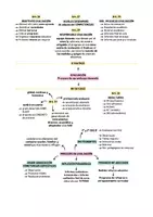 Vista previa - Para docentes: organización, planificación y formación - Opoesquema TEMA 5 (Magisterio Primaria CVA) - página 1