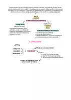 Vista previa - Para docentes: organización, planificación y formación - Opoesquema TEMA 5 (Magisterio Primaria CVA) - página 3