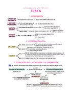 Vista previa - Para docentes: organización, planificación y formación - Opoesquema TEMA 6 (Magisterio Primaria CVA) - Portada