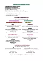 Vista previa - Para docentes: organización, planificación y formación - Opoesquema TEMA 6 (Magisterio Primaria CVA) - página 3