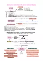 Vista previa - Para docentes: organización, planificación y formación - Opoesquema TEMA 9 (Magisterio Primaria CVA) - página 3
