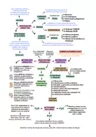 Vista previa - Para docentes: organización, planificación y formación - Opoesquema TEMA 10 (Magisterio Primaria CVA) - página 1