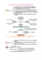 Vista previa - Para docentes: organización, planificación y formación - Opoesquema TEMA 26 (Magisterio Primaria CVA) - página 1