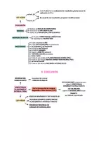 Vista previa - Para docentes: organización, planificación y formación - Opoesquema TEMA 26 (Magisterio Primaria CVA) - página 3