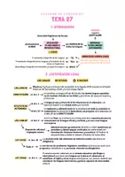 Vista previa - Para docentes: organización, planificación y formación - Opoesquema TEMA 27 (Magisterio Primaria CVA) - Portada