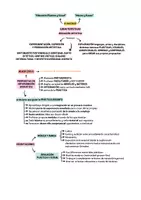 Vista previa - Para docentes: organización, planificación y formación - Opoesquema TEMA 12 (Magisterio Primaria CVA) - página 1
