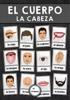 Vorschau - Präsentationen/Tafelbilder - El cuerpo - La cabeza (Wort-Bild-Karten) - Deckblatt