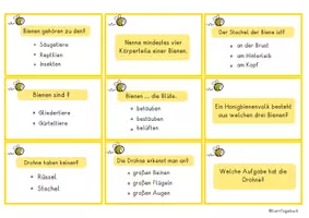 Vorschau - Stationenlernen - Die Biene Quiz, Kinderquiz Honigbiene Interaktiv und Fragekarten Unterrichtsmaterial - Seite 1
