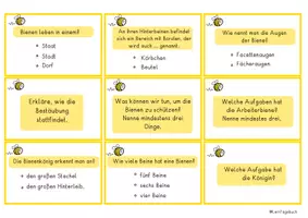 Vorschau - Stationenlernen - Die Biene Quiz, Kinderquiz Honigbiene Interaktiv und Fragekarten Unterrichtsmaterial - Seite 3