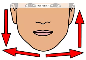 Vorschau - Präsentationen/Tafelbilder - El cuerpo - La cabeza (Tafelmaterial) - Seite 3