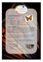 Aperçu - Apprentissages en autonomie - Papillon - jeu d'association graphies_l'amour d'apprendre - Page 3