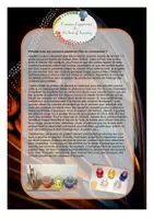 Aperçu - Apprentissages en autonomie - Papillon - découvre les couleurs_l'amour d'apprendre - Page 2