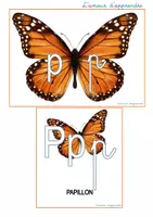 Aperçu - Apprentissages en autonomie - Papillon - lettres et écriture_l'amour d'apprendre - Page 3