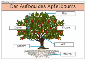 Vorschau - Arbeitsblätter - XXL- Materialpaket - Apfel - Seite 1