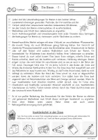 Vorschau - Unterrichtsreihen - Die Biene Sachtext, Warum sind Bienen wichtig? 4. Klasse, 5. Klasse, 6. Klasse Leseverständnis - Seite 3