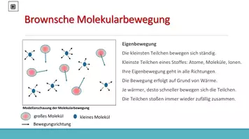 Vorschau - Arbeitsblätter - Diffusion und Osmose - Seite 2