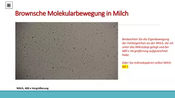 Vorschau - Arbeitsblätter - Diffusion und Osmose - Seite 3