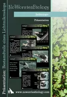 Vorschau - Präsentationen/Tafelbilder - Zellen - Bestandteile eines Lichtmikroskops - Deckblatt