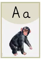 Vorschau - Poster - Anlautposter - Anlautplakate - Buchstabenschilder - Seite 3