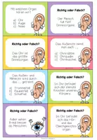 Vorschau - Spiele - DIE 5 SINNE - Quiz (Kärtchen) - Seite 1