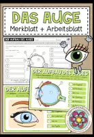 Vorschau - Arbeitsblätter - Auge und Sehsinn – Aufbau des Auges | Merkblatt, Präsentation und Arbeitsblatt 3.–5. Schulstufe - Deckblatt