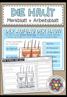 Vorschau - Arbeitsblätter - Haut und Tastsinn – Aufbau der Haut | Merkblatt, Präsentation und Arbeitsblatt 3.–5. Schulstufe - Deckblatt